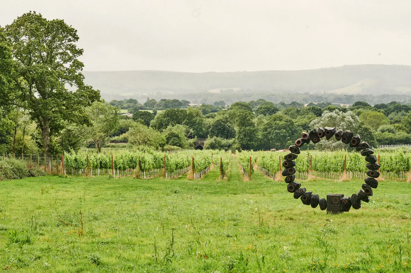 Welcome to Our Store